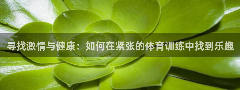 沐鸣体育凯捷代理注册