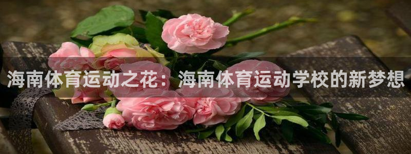 沐鸣体育官网