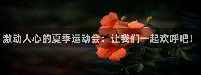 沐鸣2体育