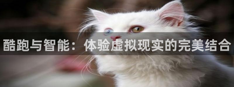 沐鸣零能源集团