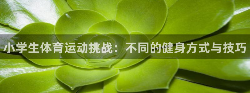 沐鸣主管