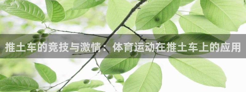 沐鸣app下载