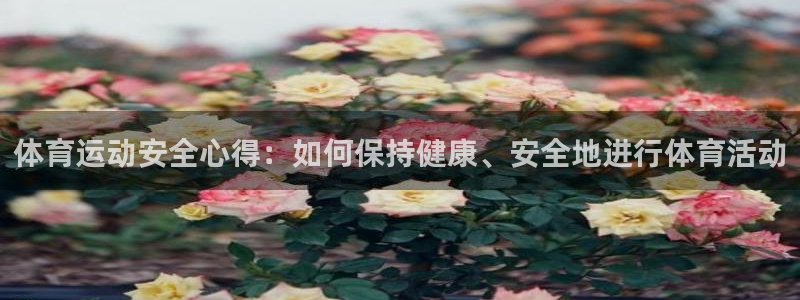 沐鸣2招商