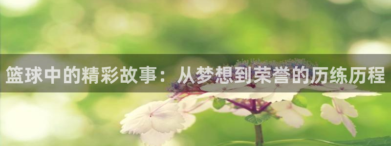 沐鸣体育免费注册入口