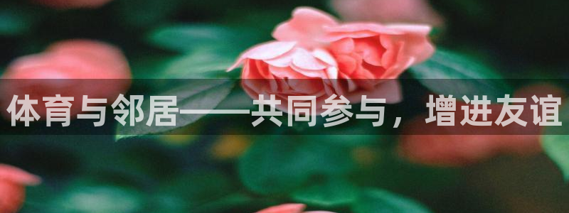 沐鸣体育平台注册