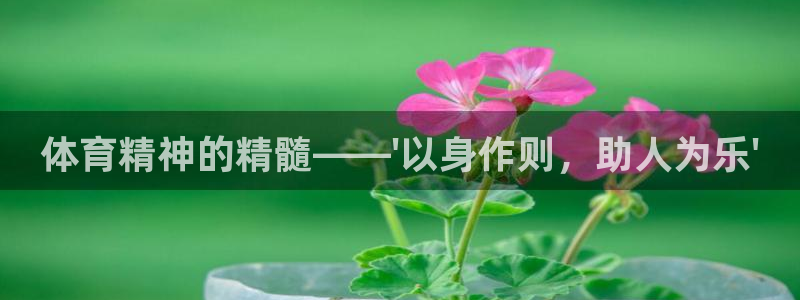 沐鸣凯捷注册