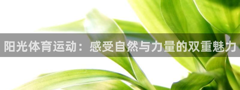 沐鸣3登陆
