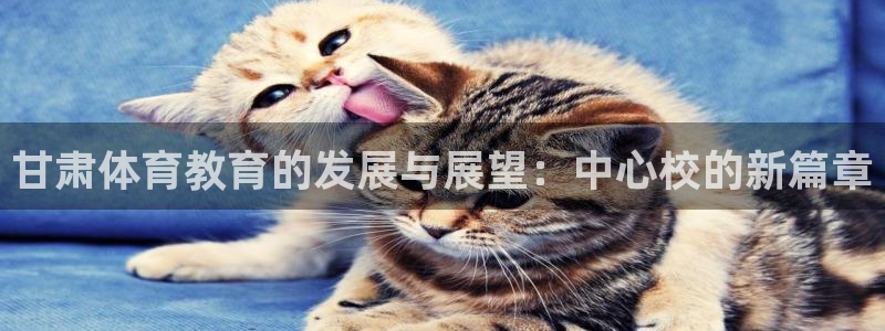 沐鸣2体育登录入口