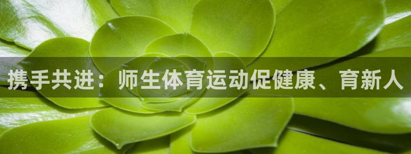 沐鸣代理