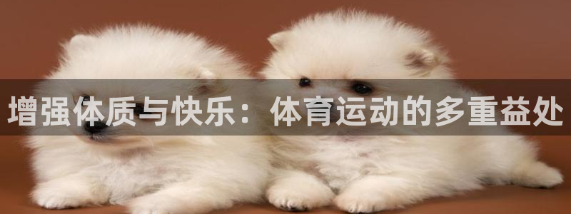 沐鸣体育和杏耀是哪个公司的