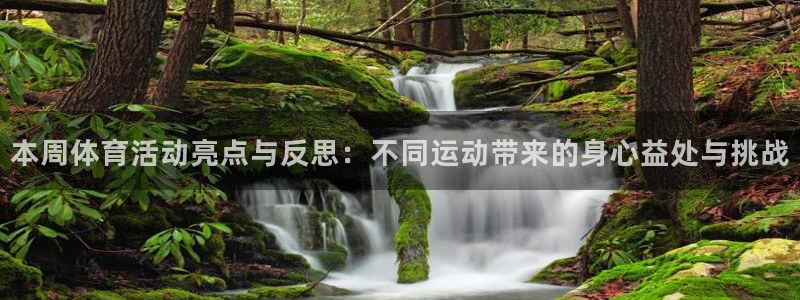 沐鸣体育和杏耀是哪个公司的